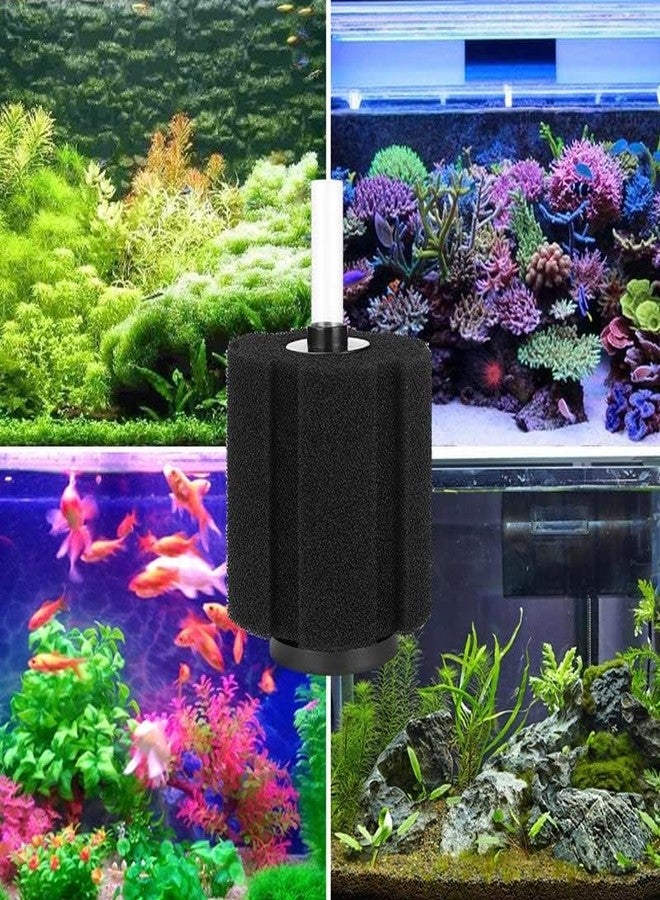 TRADESK Anky Super Bio Sponge Filter for Aquarium Fish Tank with Free 2 Meter Air Tube | Suitable for Fresh & Sea Water Appliances (Air Pump Not Included 180) - Image 3